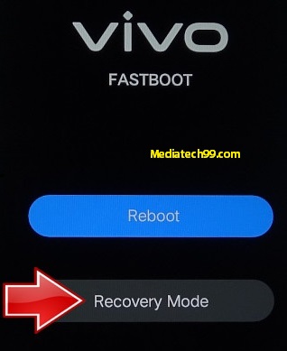 vivo Recovery Option